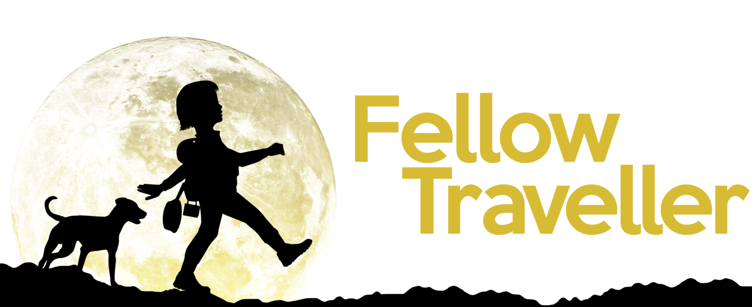 Fellow Traveller